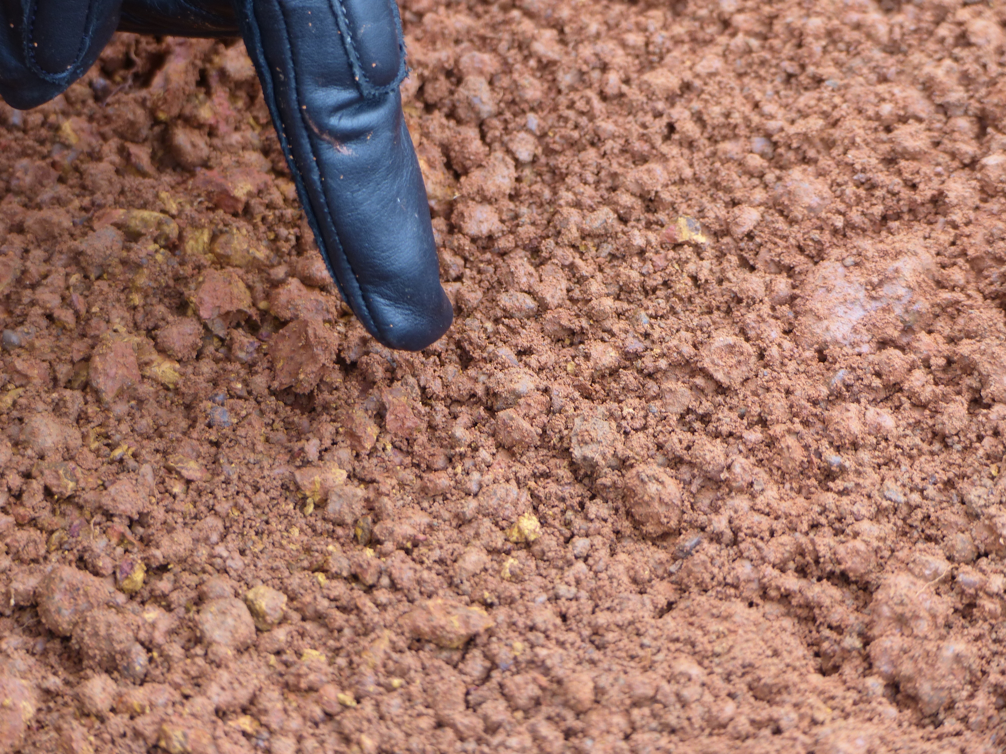 Mine Site — Detail 1